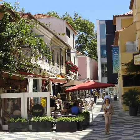 Luxury Near Town & Marina Apartment